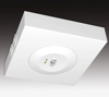 Fluchtwegnotleuchte CASP-K/W LED PE+T
