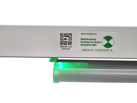 Lösung massgeschneidert Zumtobel Tecton B Lichtbandleuchte 150 LED Notlicht 1h mit HOM hang on mode